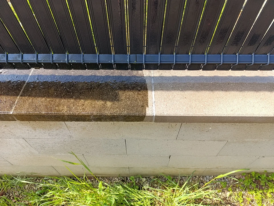 Fa&ccedil;ade d'immeuble ancien en &eacute;tat de d&eacute;labrement avec v&eacute;g&eacute;tation envahissante, volets m&eacute;talliques ferm&eacute;s et peinture verte &eacute;caill&eacute;e