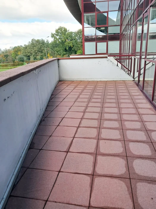 Intervention de démoussage sur toiture avec échelle télescopique aluminium